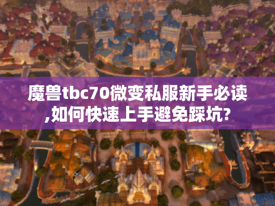 魔兽tbc70微变私服新手必读,如何快速上手避免踩坑? 魔兽tbc70微变私服新手必读,如何快速上手避免踩坑?