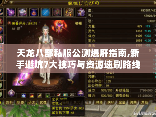 天龙八部私服公测爆肝指南,新手避坑7大技巧与资源速刷路线