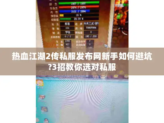热血江湖2传私服发布网新手如何避坑?3招教你选对私服
