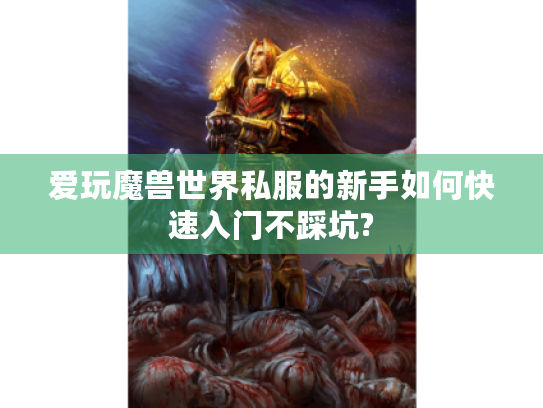爱玩魔兽世界私服的新手如何快速入门不踩坑? 爱玩魔兽世界私服的新手如何快速入门不踩坑?