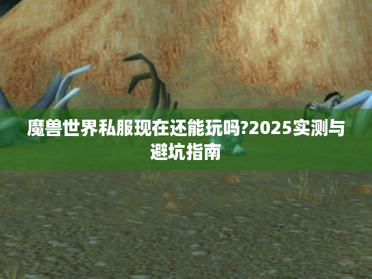 魔兽世界私服现在还能玩吗?2025实测与避坑指南 魔兽世界私服现在还能玩吗?2025实测与避坑指南