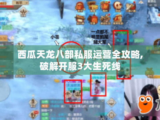 西瓜天龙八部私服运营全攻略,破解开服3大生死线 西瓜天龙八部私服运营全攻略,破解开服3大生死线