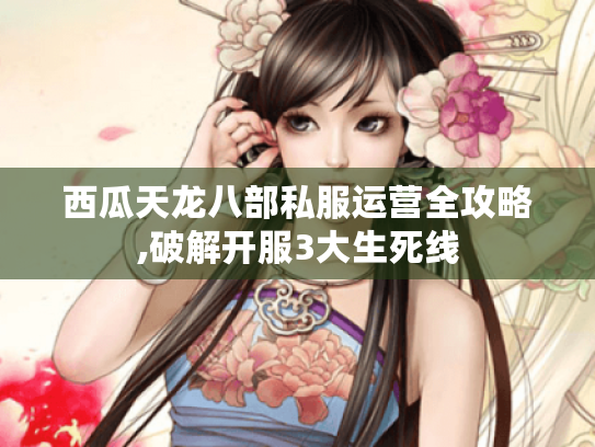 西瓜天龙八部私服运营全攻略,破解开服3大生死线 西瓜天龙八部私服运营全攻略,破解开服3大生死线