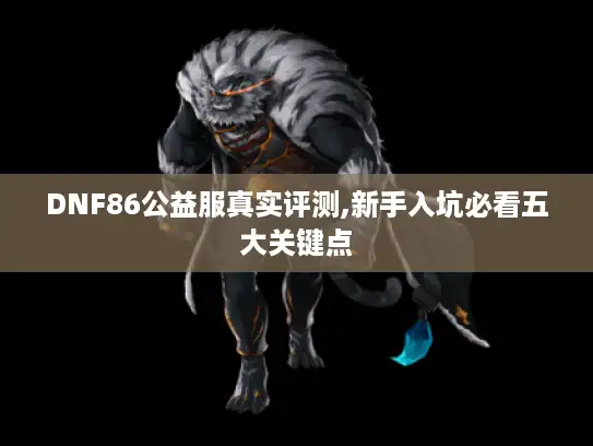 DNF86公益服真实评测,新手入坑必看五大关键点