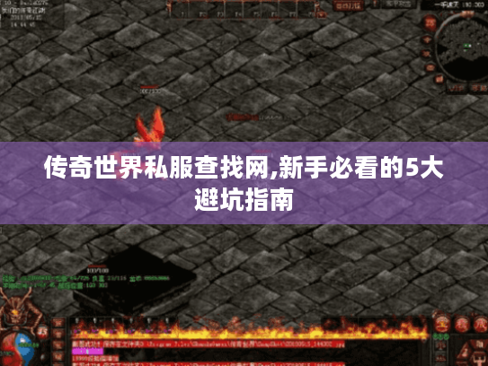 传奇世界私服查找网,新手必看的5大避坑指南