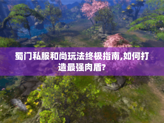 蜀门私服和尚玩法终极指南,如何打造最强肉盾? 蜀门私服和尚玩法终极指南,如何打造最强肉盾?