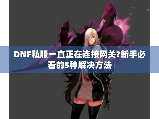 DNF私服一直正在连接网关?新手必看的5种解决方法 DNF私服一直正在连接网关?新手必看的5种解决方法