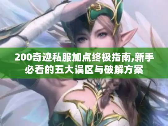 200奇迹私服加点终极指南,新手必看的五大误区与破解方案