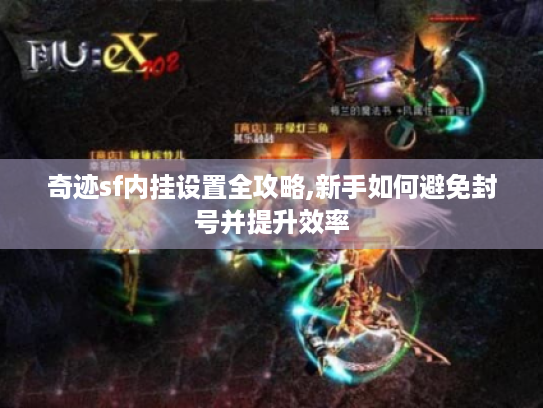 奇迹sf内挂设置全攻略,新手如何避免封号并提升效率