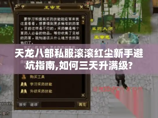 天龙八部私服滚滚红尘新手避坑指南,如何三天升满级?