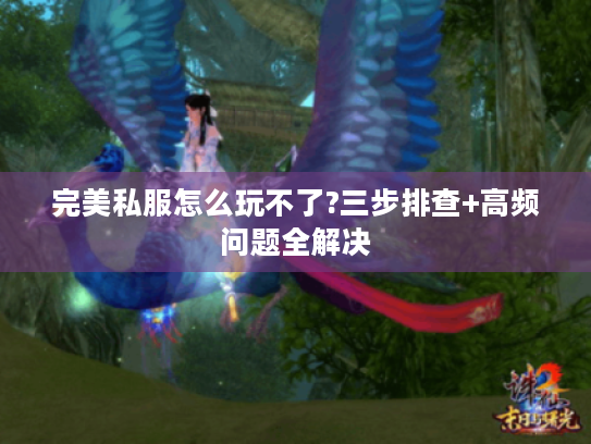 完美私服怎么玩不了?三步排查+高频问题全解决