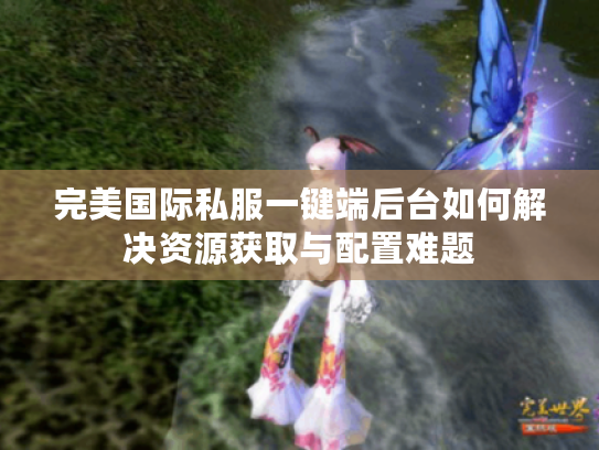完美国际私服一键端后台如何解决资源获取与配置难题