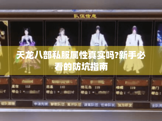 天龙八部私服属性真实吗?新手必看的防坑指南