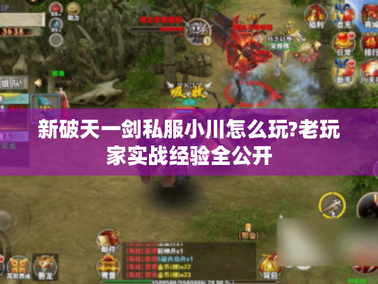新破天一剑私服小川怎么玩?老玩家实战经验全公开 新破天一剑私服小川怎么玩?老玩家实战经验全公开