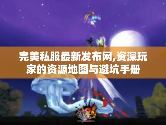 完美私服最新发布网,资深玩家的资源地图与避坑手册