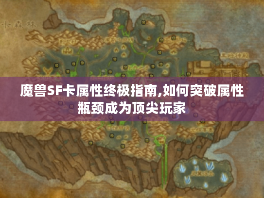 魔兽SF卡属性终极指南,如何突破属性瓶颈成为顶尖玩家 魔兽SF卡属性终极指南,如何突破属性瓶颈成为顶尖玩家