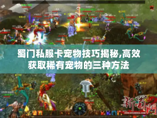 蜀门私服卡宠物技巧揭秘,高效获取稀有宠物的三种方法 蜀门私服卡宠物技巧揭秘,高效获取稀有宠物的三种方法