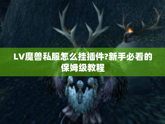 LV魔兽私服怎么挂插件?新手必看的保姆级教程 LV魔兽私服怎么挂插件?新手必看的保姆级教程