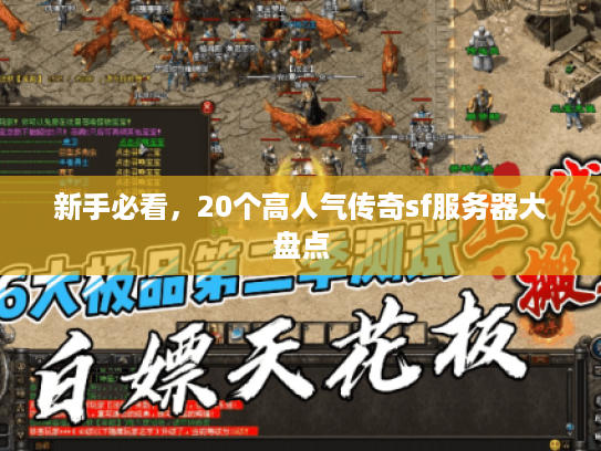 新手必看,20个高人气传奇sf服务器大盘点 新手必看,20个高人气传奇sf服务器大盘点