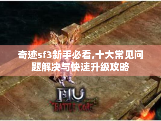 奇迹sf3新手必看,十大常见问题解决与快速升级攻略 奇迹sf3新手必看,十大常见问题解决与快速升级攻略