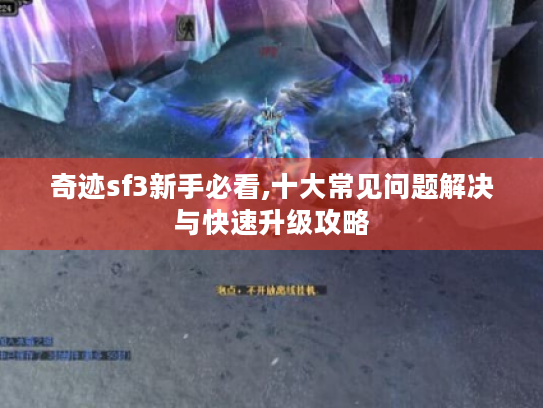 奇迹sf3新手必看,十大常见问题解决与快速升级攻略 奇迹sf3新手必看,十大常见问题解决与快速升级攻略