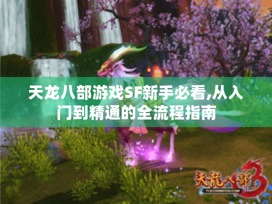 天龙八部游戏SF新手必看,从入门到精通的全流程指南 天龙八部游戏SF新手必看,从入门到精通的全流程指南
