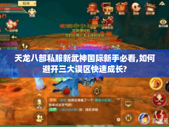 天龙八部私服新武神国际新手必看,如何避开三大误区快速成长?