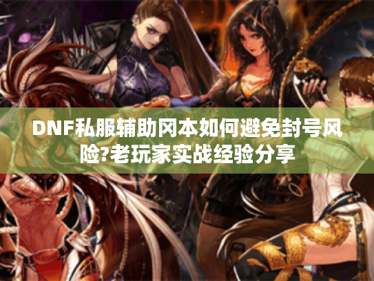DNF私服辅助冈本如何避免封号风险?老玩家实战经验分享