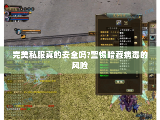 完美私服真的安全吗?警惕暗藏病毒的风险 完美私服真的安全吗?警惕暗藏病毒的风险