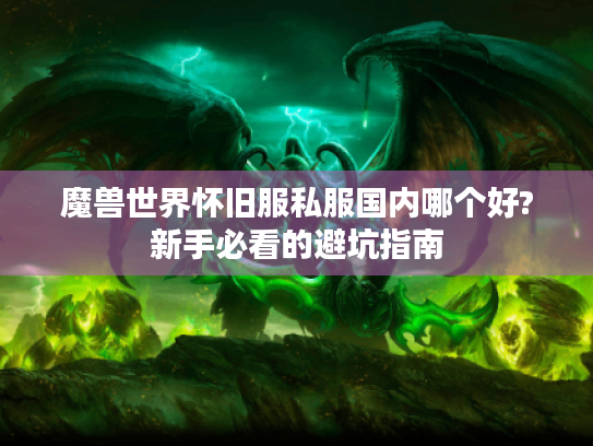魔兽世界怀旧服私服国内哪个好?新手必看的避坑指南 魔兽世界怀旧服私服国内哪个好?新手必看的避坑指南