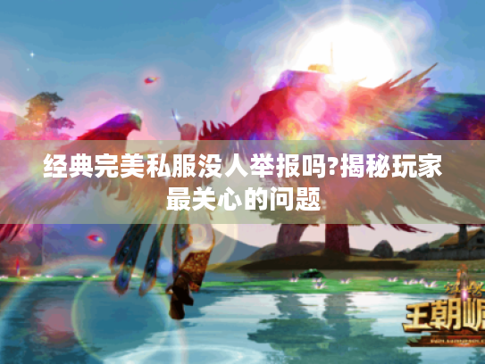 经典完美私服没人举报吗?揭秘玩家最关心的问题 经典完美私服没人举报吗?揭秘玩家最关心的问题
