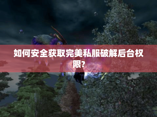 如何安全获取完美私服破解后台权限?