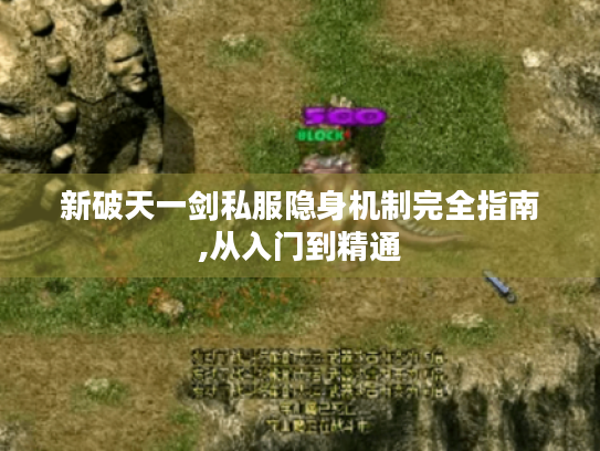 新破天一剑私服隐身机制完全指南,从入门到精通