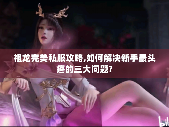 祖龙完美私服攻略,如何解决新手最头疼的三大问题? 祖龙完美私服攻略,如何解决新手最头疼的三大问题?