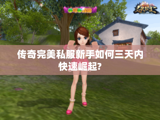 传奇完美私服新手如何三天内快速崛起?