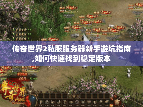 传奇世界2私服服务器新手避坑指南,如何快速找到稳定版本 传奇世界2私服服务器新手避坑指南,如何快速找到稳定版本