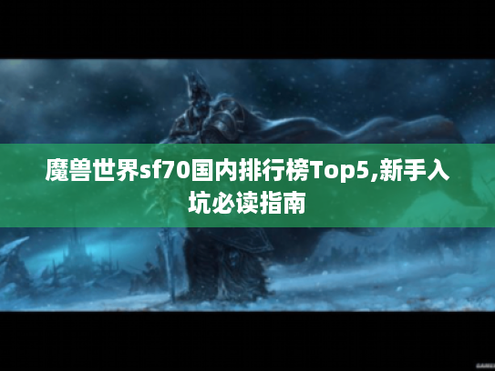 魔兽世界sf70国内排行榜Top5,新手入坑必读指南 魔兽世界sf70国内排行榜Top5,新手入坑必读指南