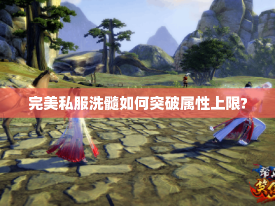 完美私服洗髓如何突破属性上限? 完美私服洗髓如何突破属性上限?
