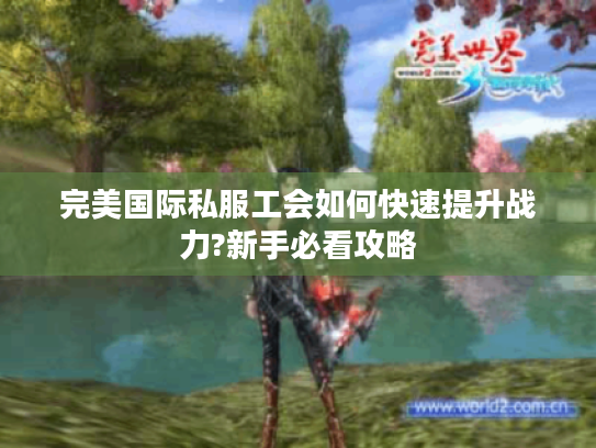 完美国际私服工会如何快速提升战力?新手必看攻略 完美国际私服工会如何快速提升战力?新手必看攻略