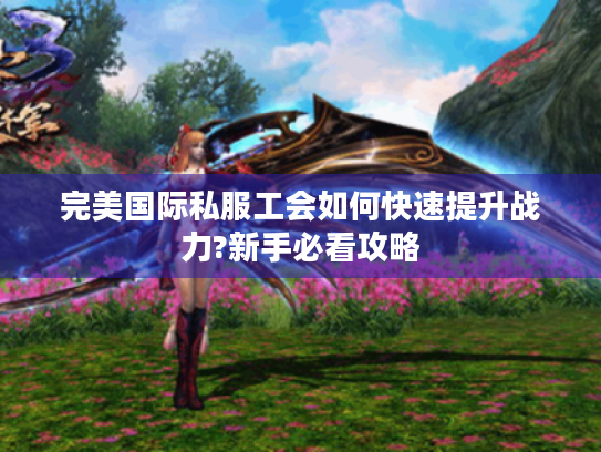 完美国际私服工会如何快速提升战力?新手必看攻略 完美国际私服工会如何快速提升战力?新手必看攻略