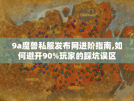 9a魔兽私服发布网进阶指南,如何避开90%玩家的踩坑误区