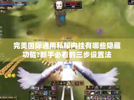 完美国际通用私服内挂有哪些隐藏功能?新手必看的三步设置法 完美国际通用私服内挂有哪些隐藏功能?新手必看的三步设置法