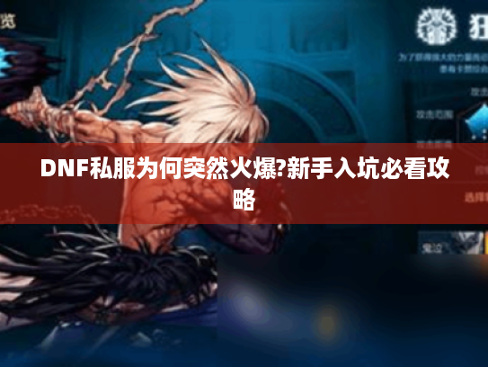 DNF私服为何突然火爆?新手入坑必看攻略 DNF私服为何突然火爆?新手入坑必看攻略