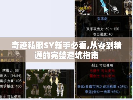 奇迹私服SY新手必看,从零到精通的完整避坑指南 奇迹私服SY新手必看,从零到精通的完整避坑指南