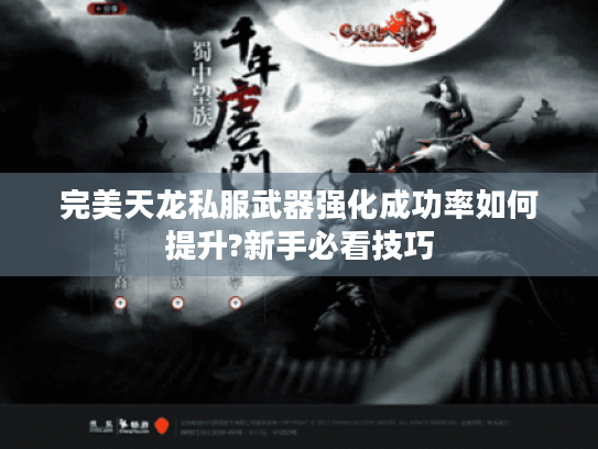 完美天龙私服武器强化成功率如何提升?新手必看技巧