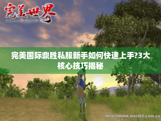 完美国际鼎胜私服新手如何快速上手?3大核心技巧揭秘 完美国际鼎胜私服新手如何快速上手?3大核心技巧揭秘