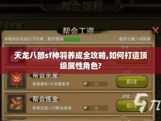 天龙八部sf神羽养成全攻略,如何打造顶级属性角色?