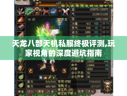 天龙八部天机私服终极评测,玩家视角的深度避坑指南 天龙八部天机私服终极评测,玩家视角的深度避坑指南