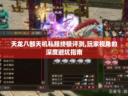 天龙八部天机私服终极评测,玩家视角的深度避坑指南 天龙八部天机私服终极评测,玩家视角的深度避坑指南