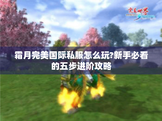霜月完美国际私服怎么玩?新手必看的五步进阶攻略